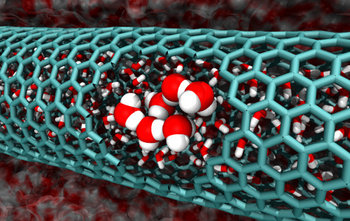 Water molecules in a carbon nanotube.