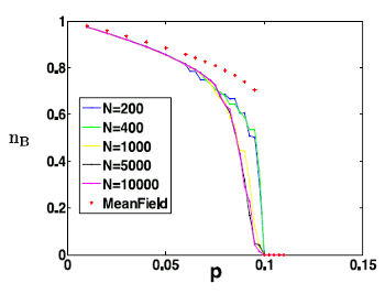 Density of nodes in state 'B' for Erdös-Rényi graphs and scale-free networks