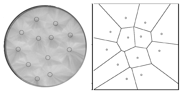Voronoi tessellation of crystal nucleation points in sodium acetate.