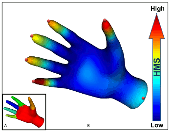 Purdue University heat diffusion segmentation of a human hand.