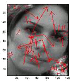 Facial vectors with keypoints.