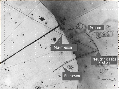 Hydrogen bubble chamber image of a neutrino
