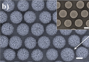 Ordered arrays of polystyrene spheres with ZnO nanowires.