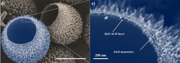 ZnO nanowires on hollowed polystyrene spheres