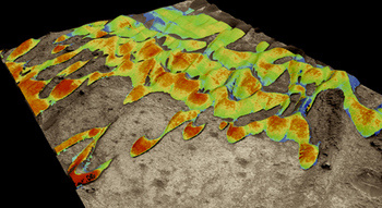Topographic features of Martian sand dunes