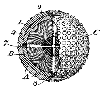 Figure one of US Patent No. 701,736, 'Golf-Ball,' by Eleazer Kempshall, June 3, 1902