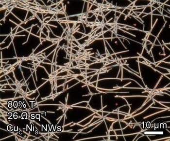 Dark-field optical microscopy of a network of copper nanowires.