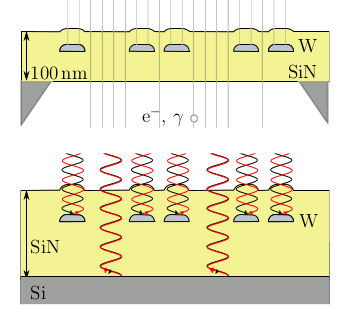 Line-type archival WORM memory cells.