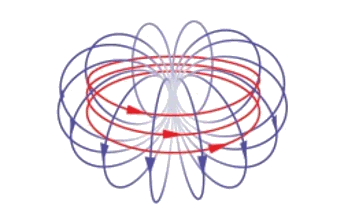 Anapole field diagram