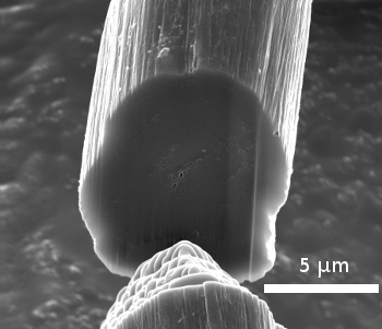 Scanning electron micrograph of a CNT thread