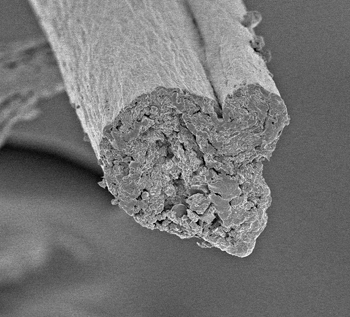 Cellulose fiber spun from fibrils.