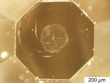 Diamond anvil damaged during synthesis of ultrahard fullerite.