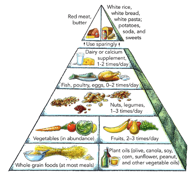 Food Pyramid attributed to Harvard University