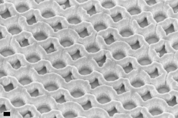 Scanning electron micrograph of MIT's metallic dielectric photonic crystal solar absorber