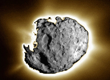 The nucleus of Comet Wild 2 as seen by the Stardust spacecraft