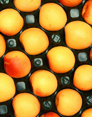 A raft of apricots (USDA)