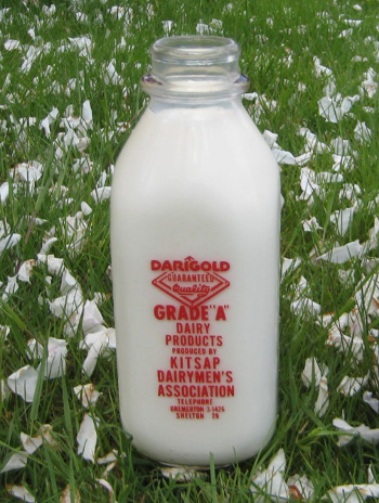 A one quart US milk bottle, circa 1956