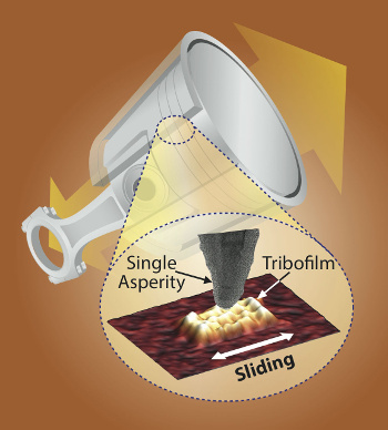 atomic force microscope and a tribofilm