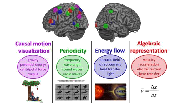 Functional magnetic resonance imaging of brain regions activated by certain concepts in physics
