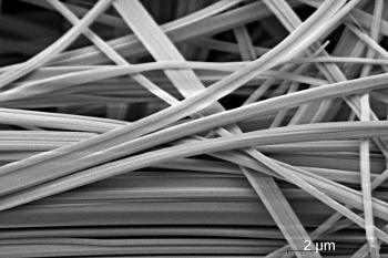 Electron micrograph of SnIP fibers