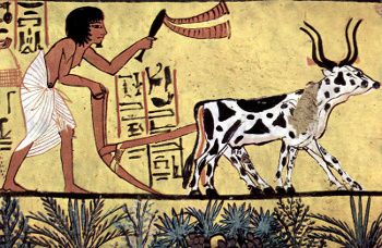 Early agriculture in Egypt