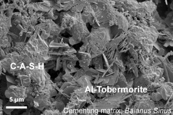 Plates of Al-tobermorite in a calcium-aluminum-silicate-hydrate (C-A-S-H) matrix.