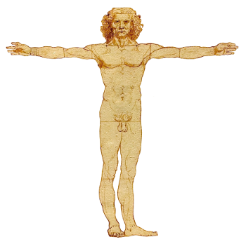 Leonardo da Vinci's Vitruvian Man in a simplified form.