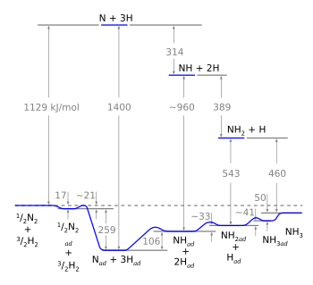 Ammonia synthesis energy diagram