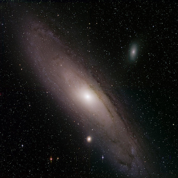 Andromeda, as viewed by ZTF