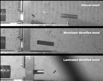 Ballistic test of a strengthened wood laminate