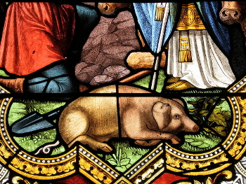 Stained glass pig at the Chapelle Notre-Dame-de-Lhor, Moselle, France