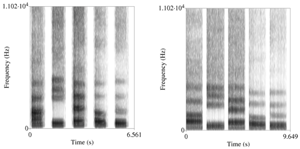 Spectrograms of vowel sounds (Daniel E. Re, et al., PLoS ONE, 2012)