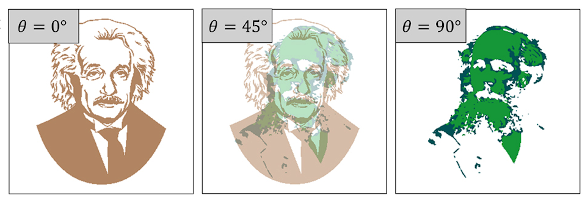 Overlapped images, portraits of Albert Einstein and Ludwig Boltzmann, are selected by different polarizations.