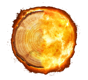 Composite image of tree rings and the Sun