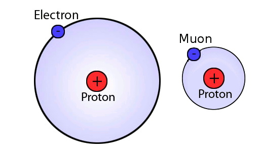Bohr models of normal and muonic hydrogen