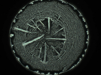 Concentric salt deposits in a drying droplet